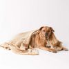 Microfiber Pet Blanket - 36 x 54 Taupe