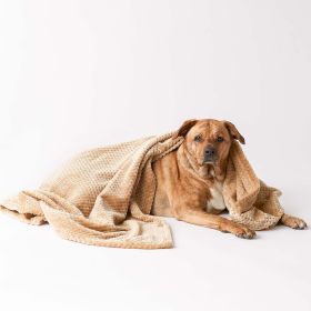 Microfiber Pet Blanket - 36 x 54 Taupe