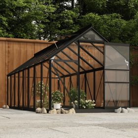 Glass Greenhouse Anthracite 61"x155.7"x75.2" Aluminum