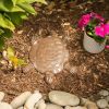 Cast Iron Turtle Stepping Stone